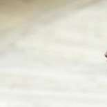 Vacían de documentos la conselleria de Serafín Castellano antes de la operación policial