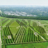 Lo que necesitan los aeropuertos para reducir el ruido generado es un buen jardinero