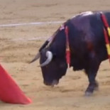 La hipocresía de TVE: una corrida de toros, igual de violenta que 'Bob Esponja'