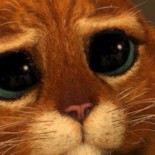 El autor del Ransomware Locker pide perdón y desvela las claves de descifrado