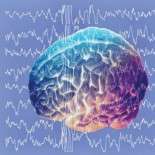 Encuentran la evidencia más fuerte del origen de la esquizofrenia