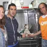 Un cazador imputado por disparar al perrito de una pareja que paseaba por el campo