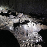 Una fosa común egipcia dedicada a Anubis, el "dios de la Muerte", contenía 8 millones de momias de perro [ENG]