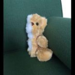 La historia del hombre que cortó a la mitad sus bienes al separarse era un montaje publicitario