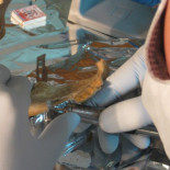 Confirman humano moderno con pariente neandertal entre cuatro y seis generaciones previas