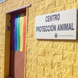 Que nadie espere una alfombra roja cuando vaya adoptar un animal