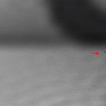 Examinan un banner con un microscopio en busca de la equis para cerrarlo [HUMOR]