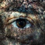 ¿Puedes visualizar imágenes en tu mente?