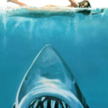 Tiburón: 40 años de arrepentimiento