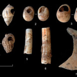 Descubren restos arqueológicos en Tarragona de unos 14.000 años de antigüedad