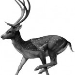 Hallan en Murcia una nueva especie de ciervo gigante que vivió en el Pleistoceno