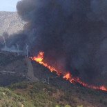 Arde Sierra de Lújar. En llamas alcornoques de hasta 600 años de edad