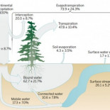 El agua de la Tierra no se evapora como pensábamos