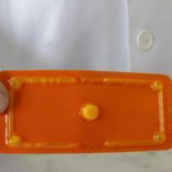 El Constitucional dicta sentencia contra la evidencia científica