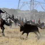 Cien artistas ofrecen actuar gratis si se elimina el Toro de la Vega