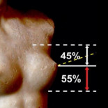 La ciencia de los senos