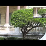 La nueva tecnología fotogramétrica "DeepStereo" podría convertir las fotos de Google Streetview en un mundo inmersivo 3d