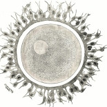 En China, si eres mujer soltera, tus óvulos no te pertenecen