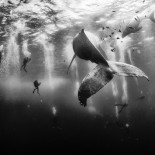 Ganadores del  National Geographic Traveler Photo Contest en 2015