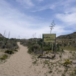 Tres décadas de retroceso en nudismo