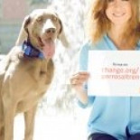 El lince ibérico, pasa de estar en peligro crítico a en peligro; de 94 ejemplares a 327