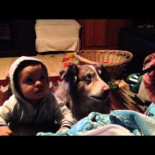 Intentar que tu hijo aprenda a decir mamá y que el perro lo diga antes, epic fail