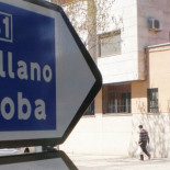 Un conductor consigue salvar a un buitre leonado desorientado en la carretera