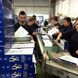 La RAE carga contra el "todos y todas".