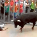 Hombre de 32 años muere al recibir una cornada en los bous de Museros