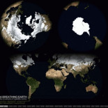 Gifs que explican cómo funciona el mundo