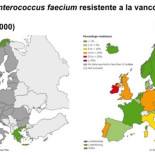 Turismo y resistencia a los antibióticos