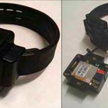 Hackean sistema de seguimiento de tobilleras de arresto domiciliario