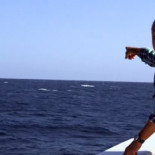 Ballena azul interrumpe a un presentador de TV en el momento justo [ENG]