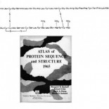 Margaret Dayhoff: la triste historia de una pionera de la bioinformática