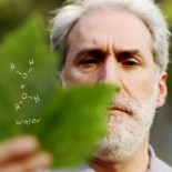 Una hoja artificial hace combustible líquido con energía solar