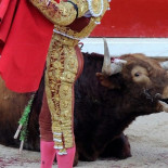 Palabras de un técnico de sonido de televisión que hacía las retransmisiones de toros