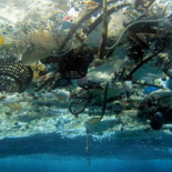 ¿Cómo se han formado las gigantescas islas de basura en los océanos?
