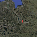 Encuentran perro prehistórico momificado y muy bien conservado en Siberia [EN]