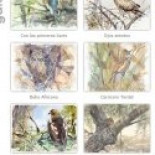 El 25 % de los acuíferos, que abastece al 70% de los pueblos, está contaminado por el uso masivo de fertilizantes