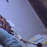 Madrid no obtiene la sangre comprometida tras privatizar las donaciones con Cruz Roja