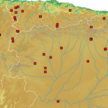 El ejército romano en el noroeste de Hispania