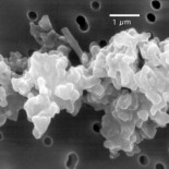 ¿La Tierra gana o pierde masa con el tiempo? ¿Cuánto ha cambiado su masa desde que se formó?