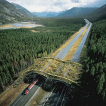 Corredores ecológicos