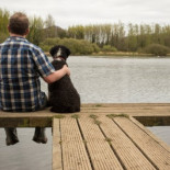 Por qué se puede amar más a un perro que a un amigo