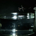 La roboabeja aprende a nadar (ING)