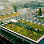 Por ley los techos en Francia deberán estar cubiertos de plantas o paneles solares