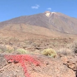 Descalificado por pintar señales con un spray en el Parque Nacional del Teide