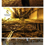 Desmantelado en Murcia el invernadero de marihuana más sofisticado de Europa