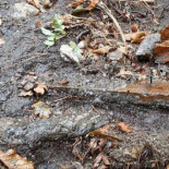 Descubren trampas para ciclistas en Monte Castrove (Pontevedra)