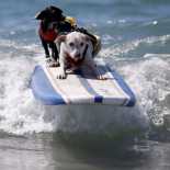 Bienvenido a la tercera ola de la crisis financiera [ENG]